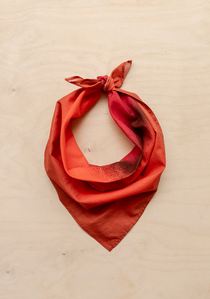 TBCo x Abisola Omole Hues Cotton Scarf