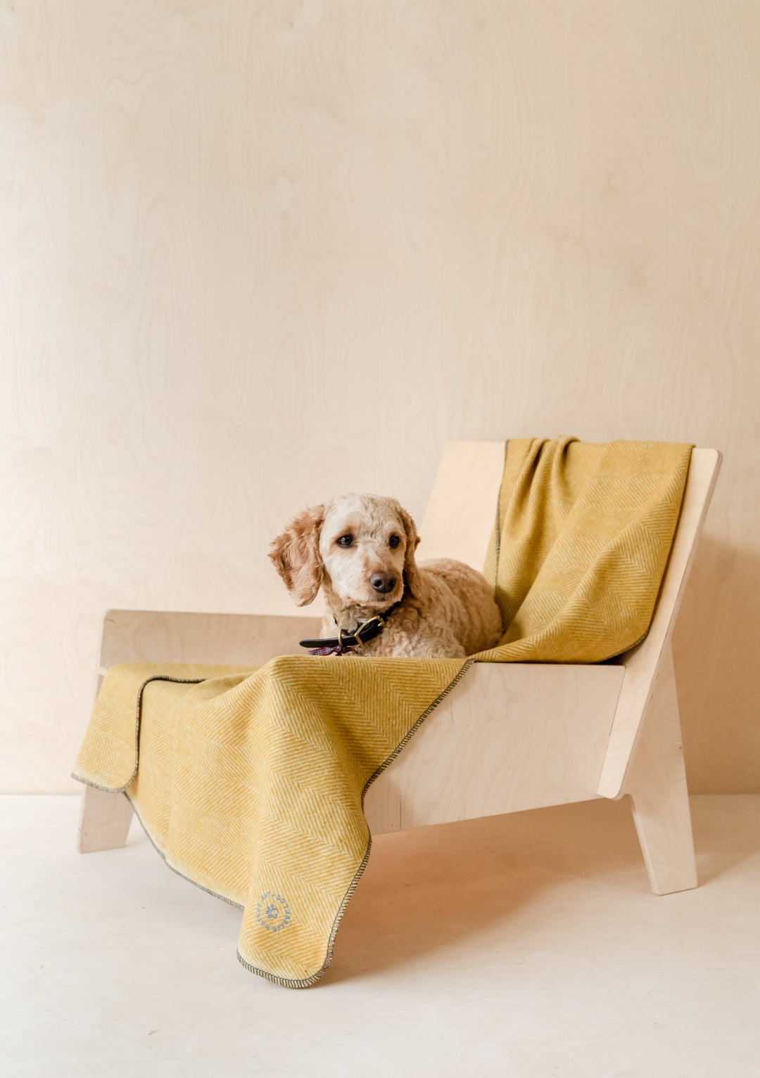 Recycled Wool Large Pet Blanket in Mustard Herringbone