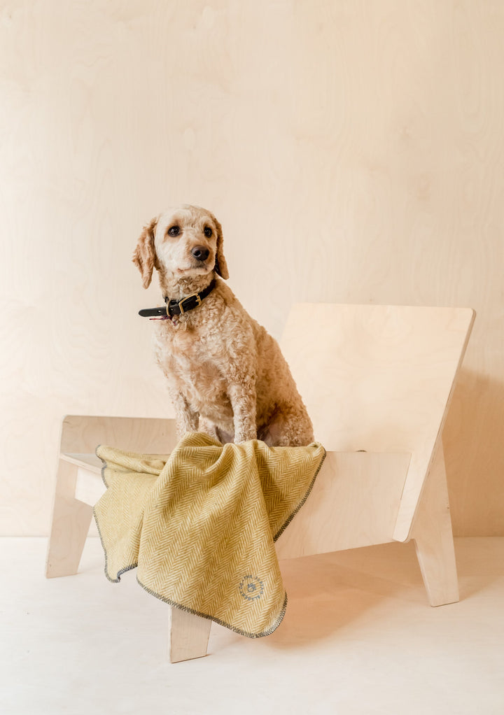 Recycled Wool Small Pet Blanket in Mustard Herringbone