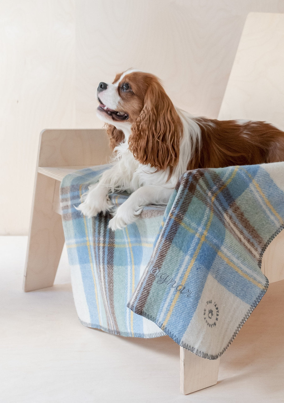 Recycled Wool Small Pet Blanket in Stewart Muted Blue Tartan