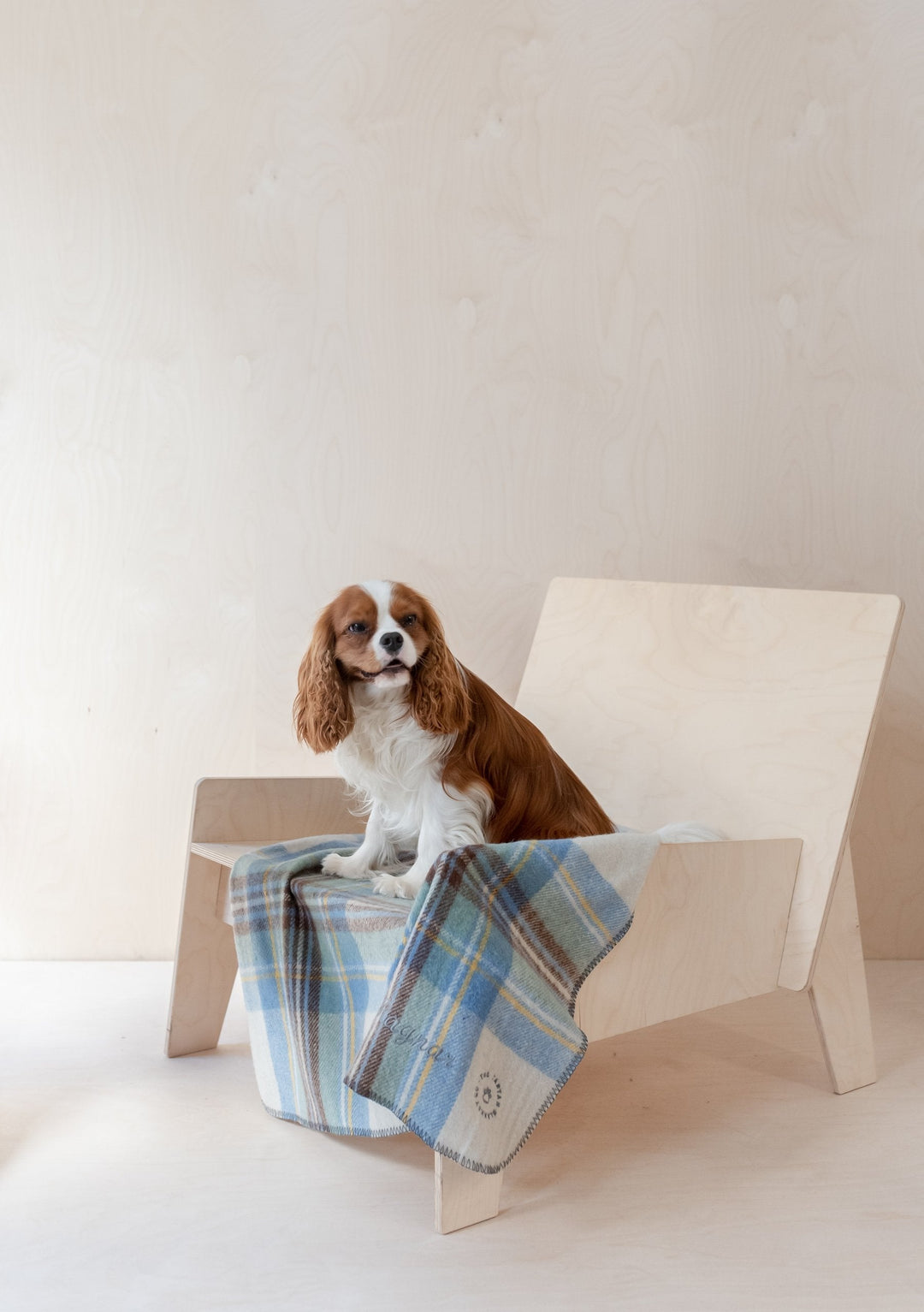 Recycled Wool Small Pet Blanket in Stewart Muted Blue Tartan